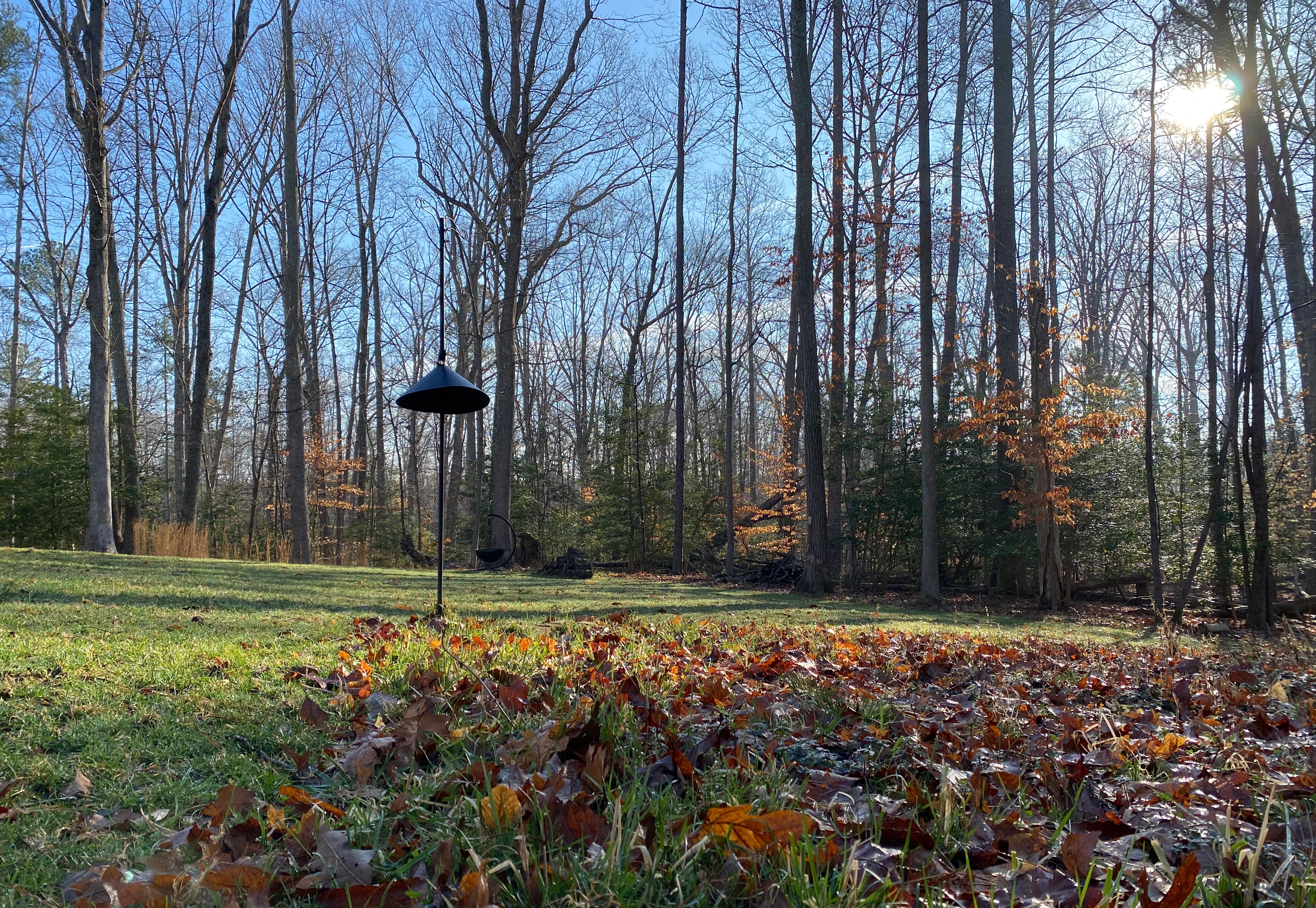 IMG 2284 — Postimages