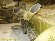 DSCN1319