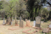 IMG-0846