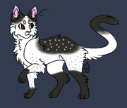 2023_10_19_0sr_Kleki