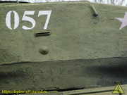 DSCN6005
