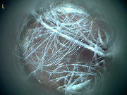 23207 177209 Into CNS 000002