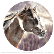 Untitled219-20250116010356-optimized