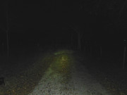 Gate-50yd-Medium