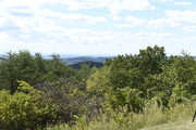 DSC0044