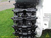 IMG-7779