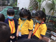 photo-littlefarmer2122-009