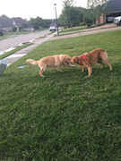 image_2023-02-02_231649616