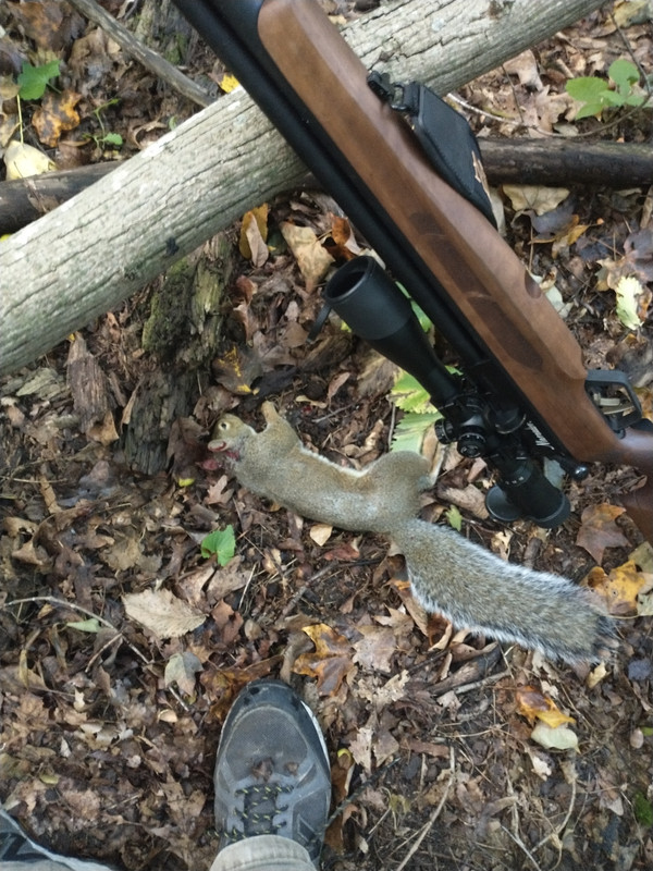 IMG_20210921_075805793