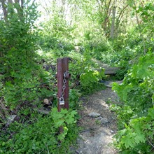 Kellereien