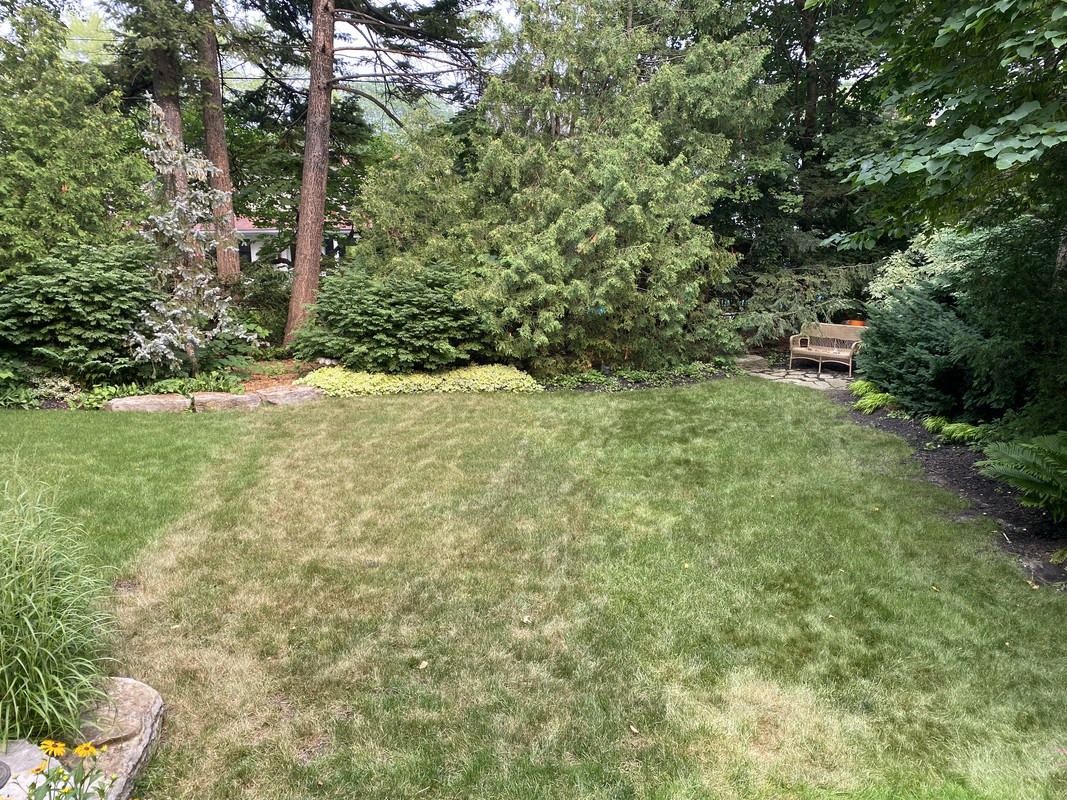 ACD0AEE2-A360-40B5-94B4-560AC792613D