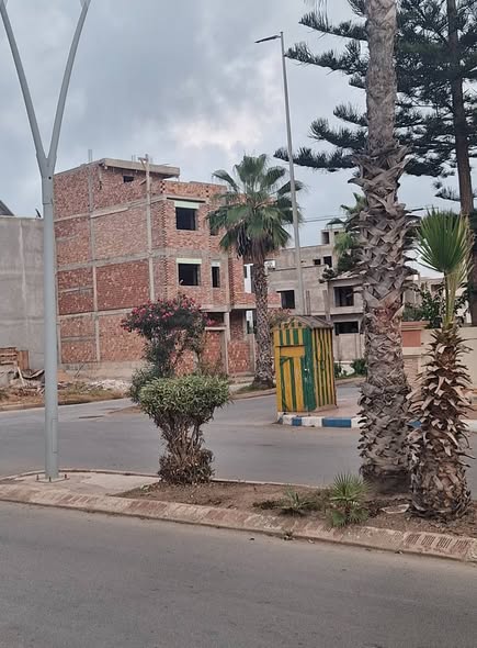 565210576-1445808613929152-9153099305657146279-n