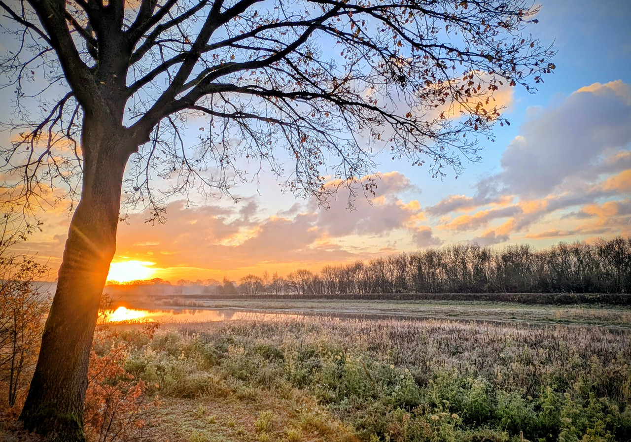 PXL 20251120 072209183 2