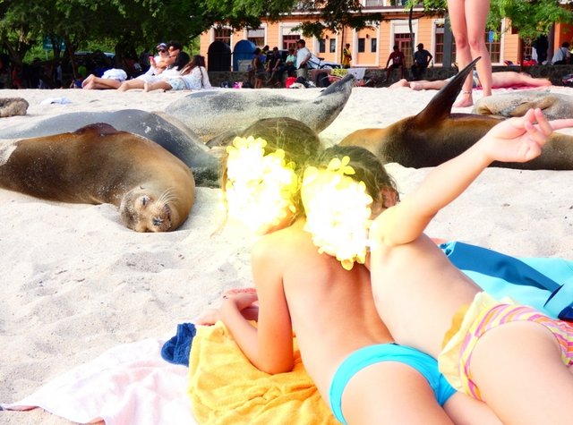 Día 15 (2 de julio): Playa Man, Punta Carola y Cerro Tijeretas - Galápagos 2022 (8)