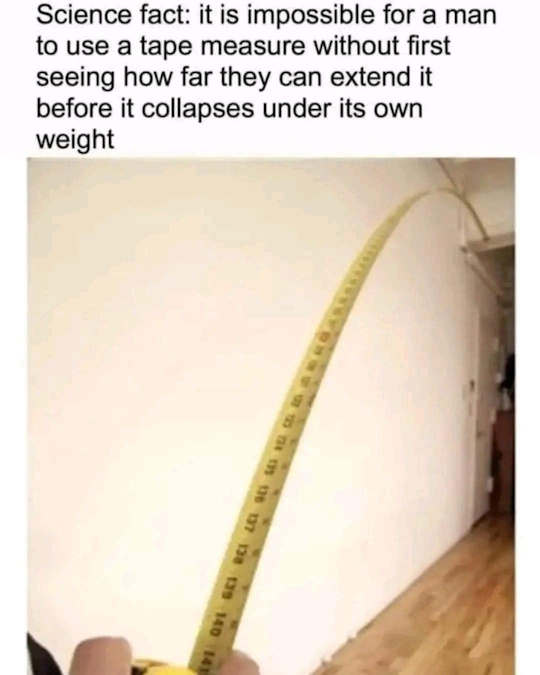 499761411-3911042859041907-7464586716067668643-n.jpg
