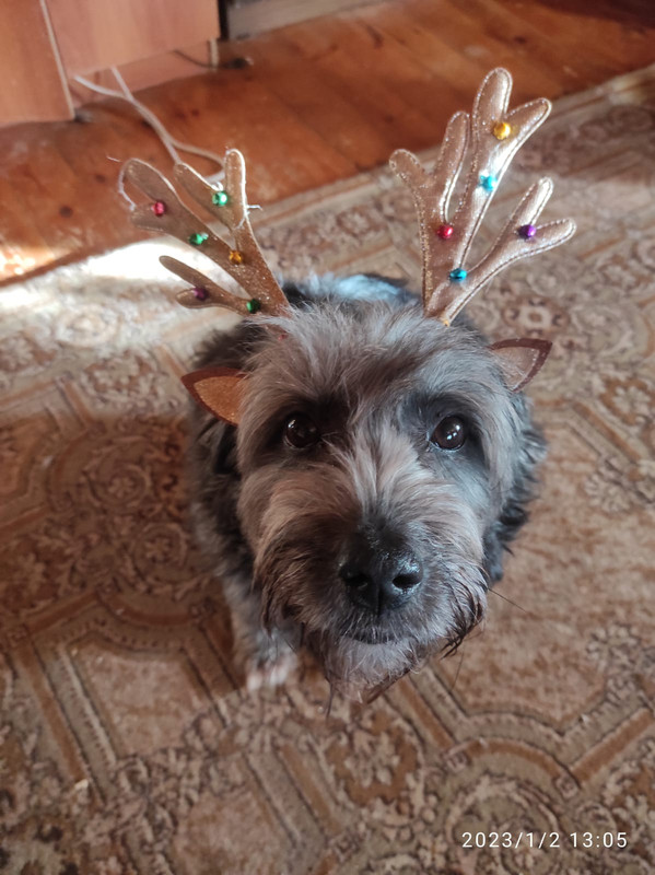 60CFF616-C7DA-48C5-85E6-E004D95940CB