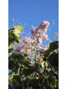 photo 2 2026 01 03 21 19 51