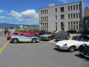 IMG-1459.jpg