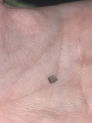IMG-0796