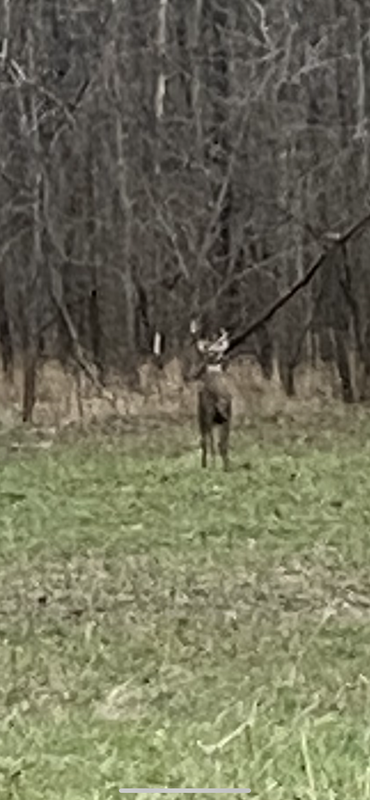 62D72C3E-61CB-4C10-AC9D-35EEB7F82CE8