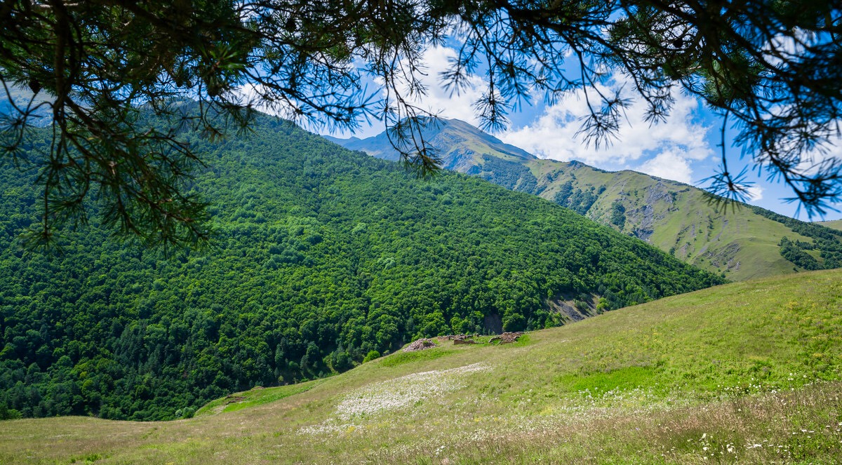 https://i.postimg.cc/WtRFBGpG/A1-F998-DB-7-CF4-440-A-A756-E044731-BB5-C4.jpg