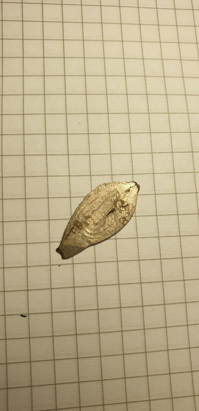 IMG_20220803_102849_711