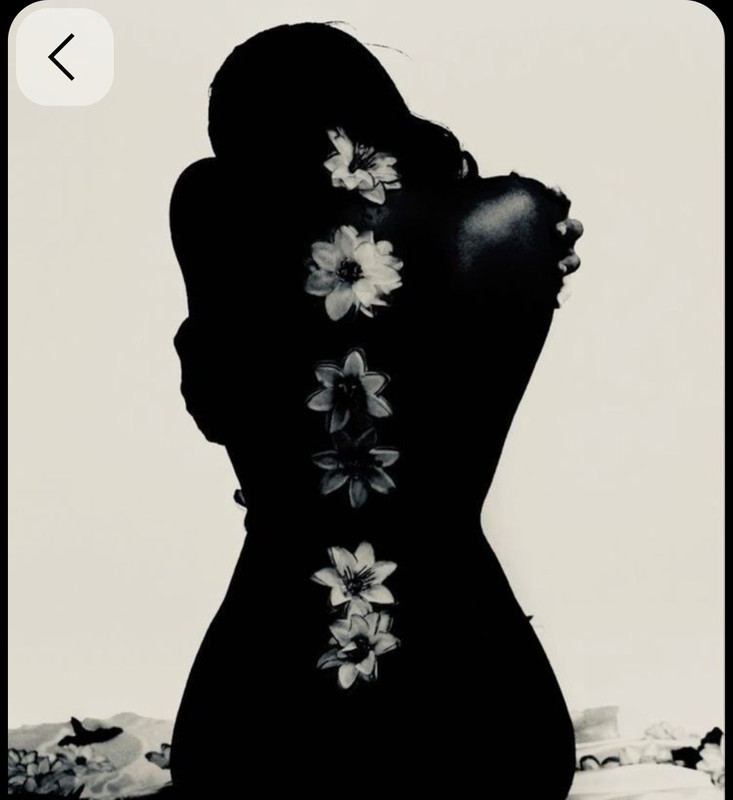 Screenshot_20251001_213601_Pinterest