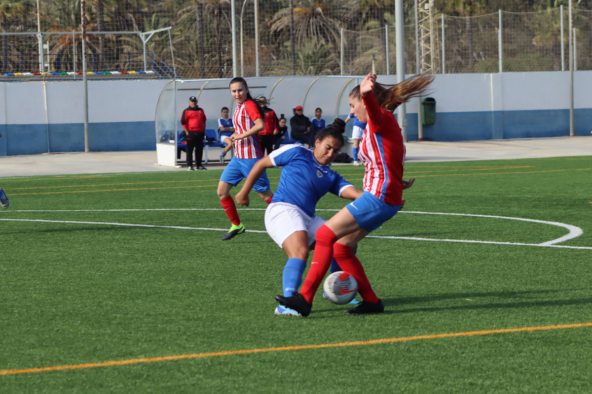 IMG-8493