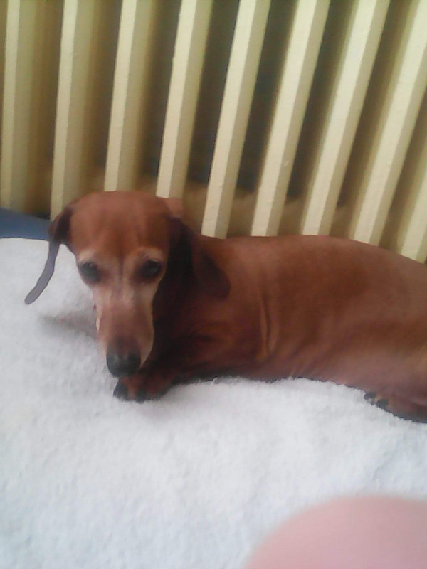 [Image: received-515325159933196.jpg]