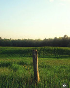 photo 23 2026 01 16 22 06 21