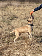 IMG_20230416_173436_900