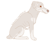 4. Orel ©265987@Wolfplay