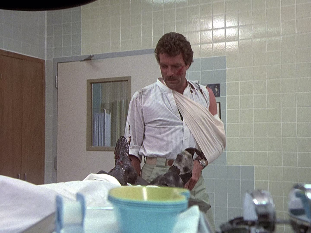 Magnum.P.I.S03E01-E02.1080p.BluRay.x265-KONTRAST.mkv_frame09