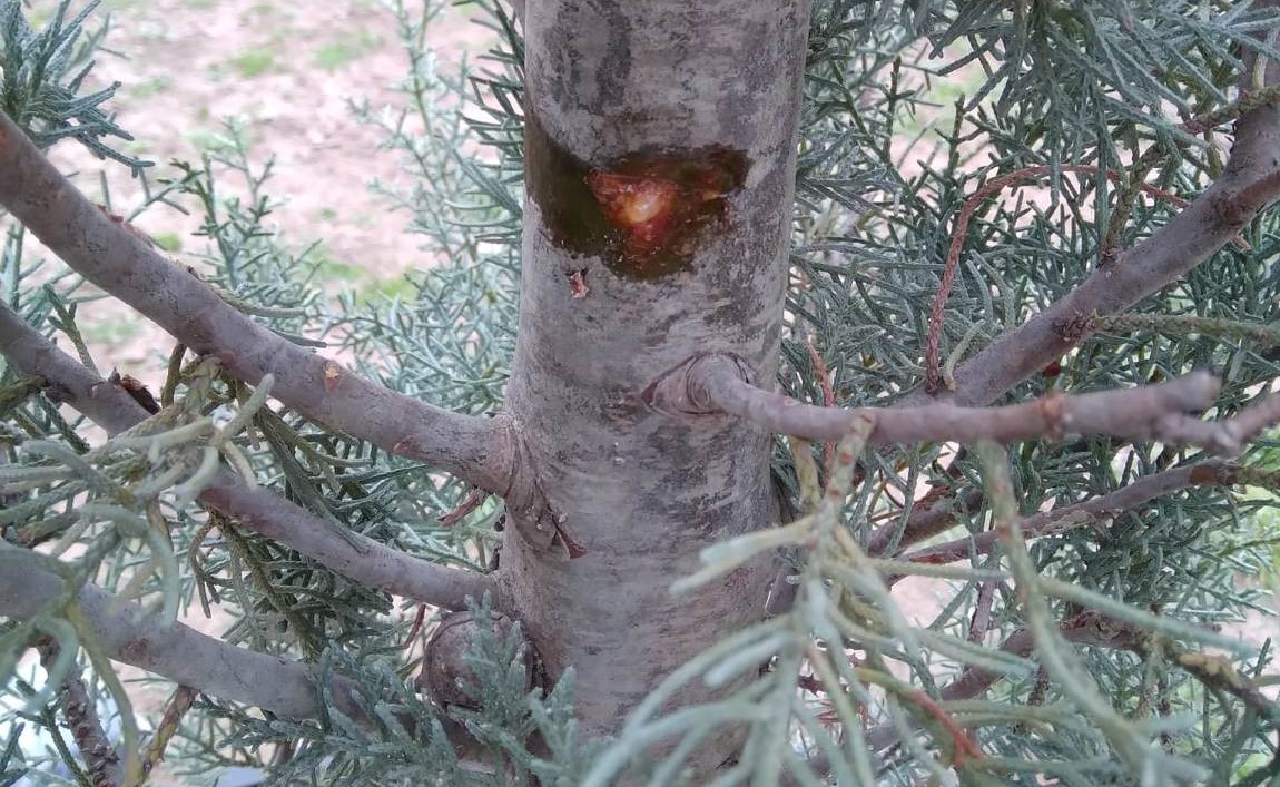 336964404_692460422568449_8741566147335484368_n.jpg1