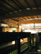 photo 16 2025 12 27 21 11 06