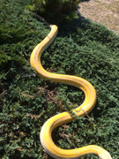 CC7885E2-A922-434E-B683-AF19F2C5BBE6