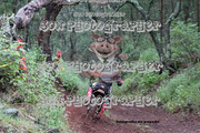 IMG-6575