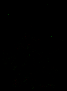 202607-diff-dt-2g