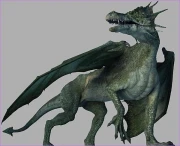 Europaischer-Drache