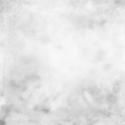 DS-WTL-Paper4