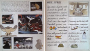 IMG-0017