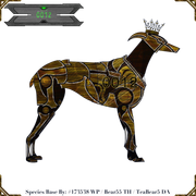 0012 - Majesty Máti Tígris - #302386