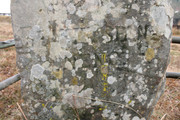 IMG-0396