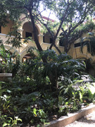 IMG-8801