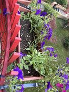 IMG-3569