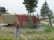 IMG-3612