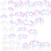 Shoulders-Studies
