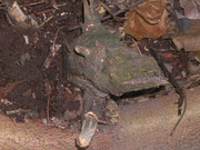 [Image: Osons-imaginer-3575.jpg]