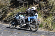 IMG-1355