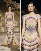 hautehadeel-567159589-18537518812014731-8662286199221495669-n